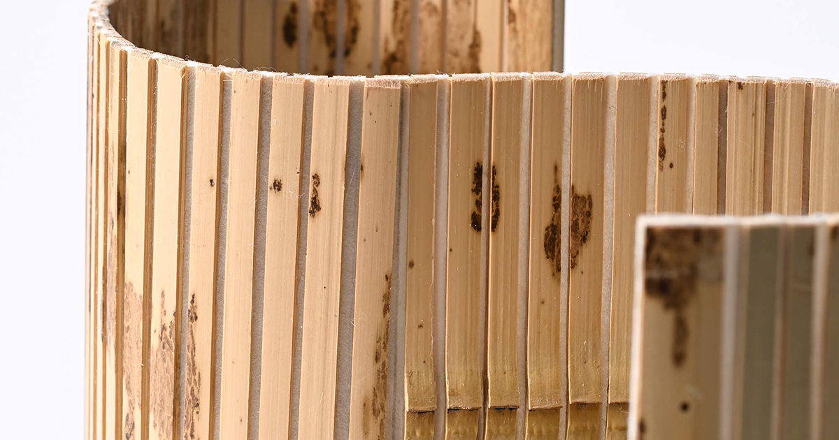 竹又中川竹材店 TAKEMATA NAKAGAWA TAKEZAITEN | PRECIOUS KYOTO α